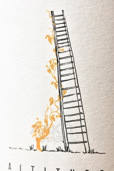 Salima & Alain Cordeuil Altitude 320m - шампанское Салима и Ален Кордёй Альтитюд 320м 2015 год 0.75 л белое экстра брют