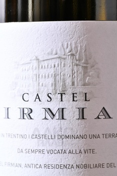 Mezzacorona Trentino Castel Firmian Pinot Grigio - вино Меццакорона Трентино Кастель Фирмиан Пино Гриджио 0.75 л белое сухое