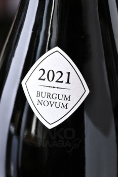 Castelfeder Burgum Novum Chardonnay Riserva - вино Кастельфедер Бургум Новум Шардонне Ризерва 0.75 л белое сухое