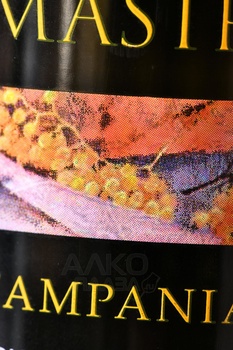 Mastroberardino Mastro Bianco Campania IGT - вино Мастроберардино Мастро Бьянко Кампания 0.75 л белое сухое