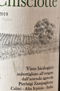 Fiano Don Chisciotte - вино Фиано Дон Кишотте 0.75 л белое полусухое