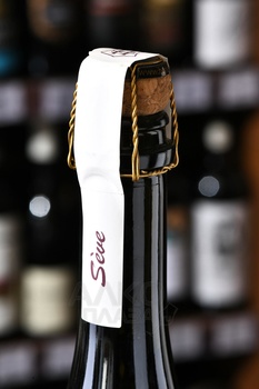 Champagne Olivier Horiot Seve Blanc de Noirs En Barmont - шампанское Шампань Оливье Орио Сэв Блан де Нуар Ан Бармон 0.75 л белое экстра брют