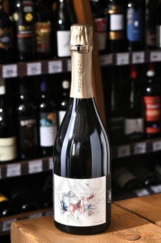 Olivier Horiot Envol - шампанское Шампань Оливье Орио Анволь 2017 год 0.75 л белое экстра брют