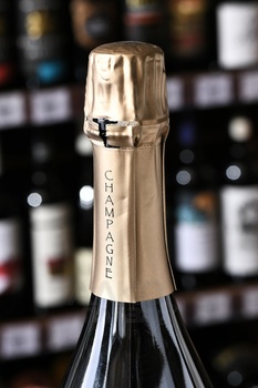 Olivier Horiot Envol - шампанское Шампань Оливье Орио Анволь 2017 год 0.75 л белое экстра брют