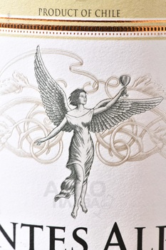 Montes Alpha Pinot Noir - вино Монтес Альфа Пино Нуар 0.75 л красное сухое