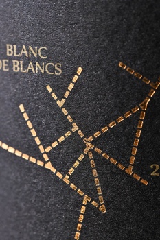 Champagne Remi Leroy Millesime Blanc De Blanc - шампанское Шампань Реми Леруа Миллезим Блан де Блан 0.75 л белое брют