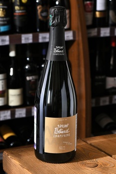 Champagne Sylve Premier Cru - шампанское Шампань Сильв Премье Крю 2014 год 0.75 л белое экстра брют