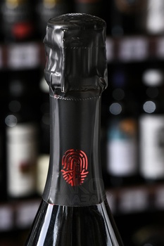 Champagne R. Pouillon Et Fils Methode Fabrice Pouillon Grande Vallee - шампанское Шампань Р. Пуильон эт Фис Метод Фабрис Пуильон Гранд Валле 0.75 л белое брют