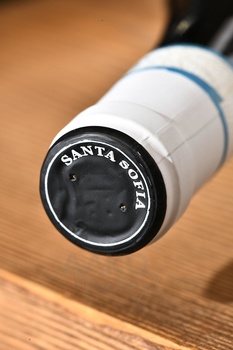 Santa Sofia Lugana DOC - вино Санта София Лугана ДОК 2023 год 0.75 л белое сухое