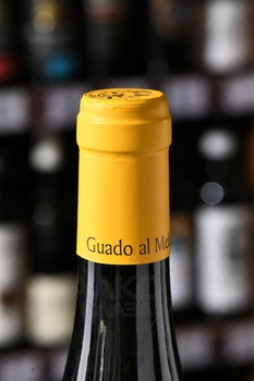 Guado al Melo L’Airone Vermentino - вино Гуадо аль Мело Л’Айроне Верментино 2023 год 0.75 л белое полусухое