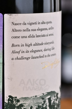 Sauvignon Monte Zovo - вино Совиньон Монте Зово 0.75 л сухое белое