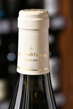 Tenuta Santa Maria Torrepieve - вино Санта Мария Торрепьеве 0.75 л белое сухое