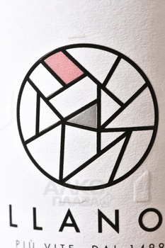 Villanova Pinot Grigio Friuli Isonzo DOC - вино Вилланова Пино Гриджио Фриули Изонцо ДОК 2022 год 0.75 л белое сухое