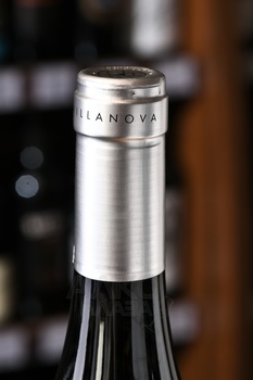 Villanova Pinot Grigio Friuli Isonzo DOC - вино Вилланова Пино Гриджио Фриули Изонцо ДОК 2022 год 0.75 л белое сухое