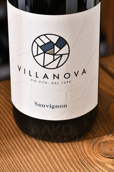 Villanova Sauvignon Friuli Isonzo DOC - вино Вилланова Совиньон Фриули Изонцо ДОК 2022 год 0.75 л белое сухое