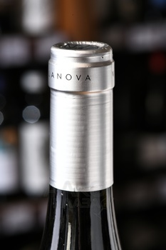 Villanova Traminer Aromatico Friuli Isonzo DOC - вино Вилланова Траминер Ароматико Фриули Изонцо ДОК 2022 год 0.75 л белое сухое