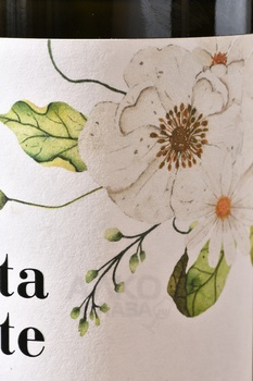 Tenuta Casate Friulano - вино Тенута Казате Фриуляно 2022 год 0.75 л белое сухое