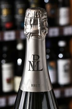 Champagne Paul Louis Martin Millesime - шампанское Шампань Поль Луи Мартэн Миллезим 2012 год 0.75 л белое брют в п/у