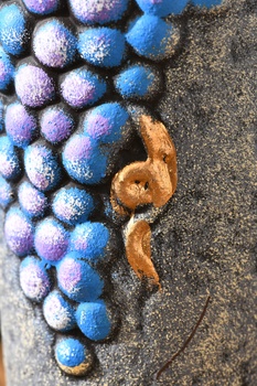 Вино Джорджиа Кантри Вайнс Хванчкара 1 л красное полусладкое в керамическом кувшине