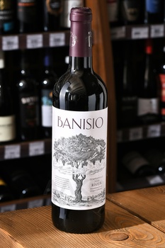Banisio Tempranillo - вино Банисио Темпранильо 2020 год 0.75 л красное сухое