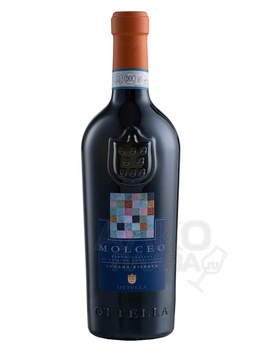 Ottella Molceo Riserva Lugana DOC - вино Оттелла Мольчео Ризерва 0.75 л белое сухое
