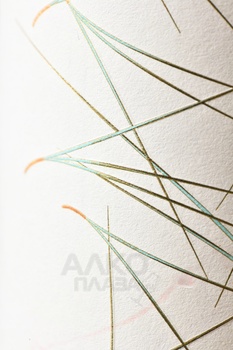 Prieto Pariente Pinaster - вино Прието Париенте Пинастер 0.75 л красное сухое