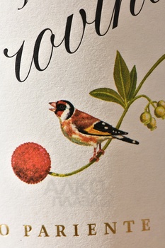 Prieto Pariente La Provincia - вино Прието Париенте Ля Провинция 0.75 л красное сухое