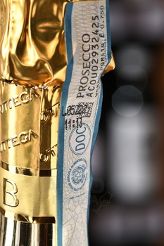 Bottega Gold Prosecco Brut - вино игристое Боттега Голд Просекко Брют серия Вино Поэтов 0.75 л в п/у прозрачная