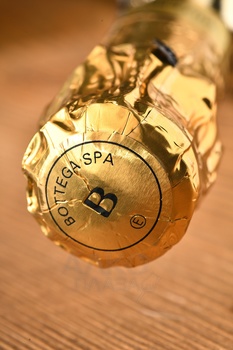 Bottega Gold Prosecco Brut - вино игристое Боттега Голд Просекко Брют серия Вино Поэтов 0.75 л в п/у прозрачная