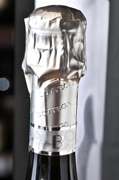 Bottega Stardust Prosecco Dry - вино игристое Боттега Стардаст Просекко Драй серия Вино Поэтов 2022 год 0.75 л белое сухое в п/у