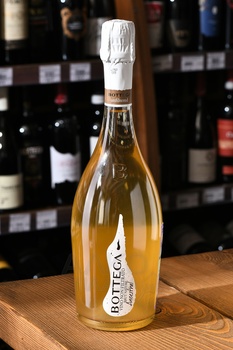 Bottega Ancestral - вино игристое Боттега Анчестрал 2020 год 0.75 л белое брют натуре