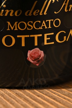 Bottega Petalo Moscato - вино игристое Боттега Петало Москато 0.75 л белое сладкое
