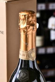 Champagne Canard-Duchene Charles VII Blanc de Noirs - шампанское Шампань Канар-Дюшен Шарль 7 Блан де Нуар 0.75 л белое брют в п/у