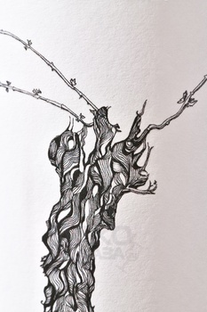 Giovanni Sallemi Cantunera Rosso - вино Россо Кантунера Джованни Саллеми 0.75 л красное сухое