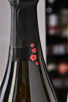 A. Bergere Les Vignes de Nuit - шампанское А.Бержер Ле Винь де Нюи 0.75 л белое экстра брют в п/у