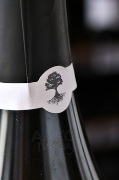 Guenin en Cote des Bar Natur d’Argile - шампанское Генэ ан Кот де Бар Натюр д’Аржиль 0.75 л белое брют