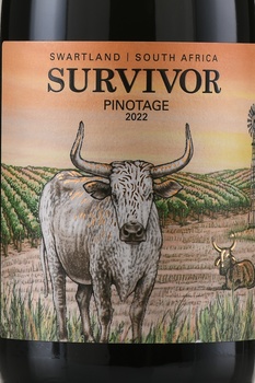 Survivor Pinotage Van Loveren - вино Севайвор Пинотаж Ван Ловерен 0.75 л красное сухое