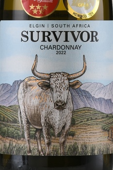 Survivor Chardonnay Van Loveren - вино Севайвор Шардонне Ван Ловерен 0.75 л белое сухое