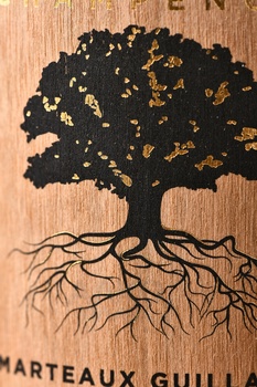 Marteaux Guillaume Complètement Marteaux Ratafia Champenois - вино Марто Гийом Комплетман Марто Ратафия Шампенуа 0.5 л сладкое красное