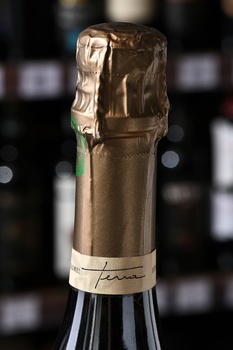 Nathalie Falmet Cuvee Terra - шампанское Натали Фальме Кюве Терра 0.75 л белое экстра брют