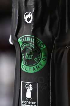 Champagne Delong Marlene Cuvee Rose - шампанское Шампань Делонг Марлен Кюве Розе 0.75 л розовое брют