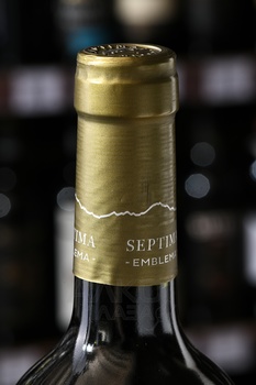 Septima Mendoza Malbec - вино Септима Мендоса Мальбек 0.75 л