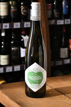 Peter & Paul Gruner Veltliner - вино Петер-Пауль Грюнер Вельтлинер 2023 год 0.75 л белое сухое