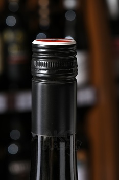 Fidesser Gruner Veltliner - вино Фидессер Грюнер Вельтлинер 0.75 л белое сухое