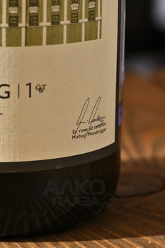 Schloss Gobelsburg Ried Gaisberg Riesling Kamptal DAC - вино Шлосс Гобельсбург Рид Гайсберг Рислинг Кампталь 0.75 л белое полусухое