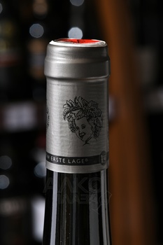 Birgit Eichinger Ried Lamm Gruner Veltliner - вино Биргит Айхингер Ламм Грюнер Вельтлинер 0.75 л