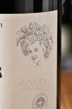 Birgit Eichinger Riesling Gaisberg - вино Биргит Айхингер Рислинг Гайсберг 0.75 л