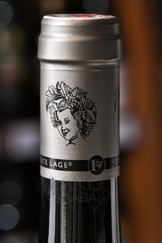 Birgit Eichinger Riesling Gaisberg - вино Биргит Айхингер Рислинг Гайсберг 0.75 л
