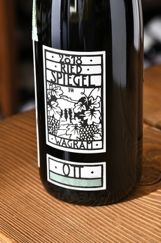 Weingut Bernhard Ott Gruner Veltliner Feuersbrunner Spiegel - вино Бернхард Отт Грюнер Вельтлинер Фoйерсбрунн Рид Шпигель 0.75 л