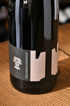Schutt Gruner Veltliner Smaragd - вино Шютт Грюнер Вельтлинер Смарагд 0.75 л белое сухое